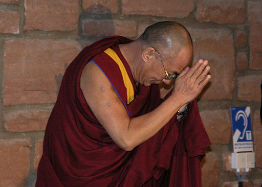 Dalai Lama  Foto: Paddy patterson