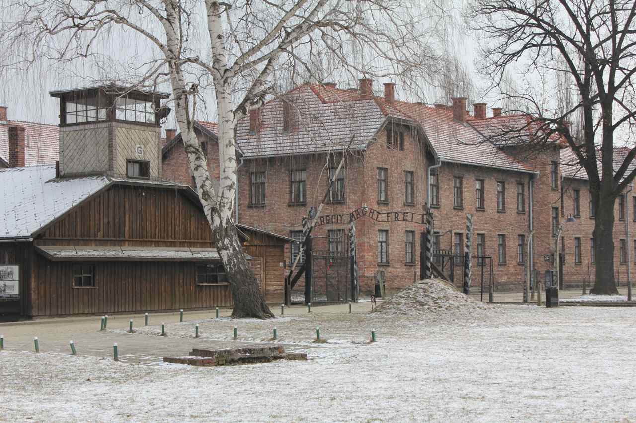 Koncentrationslejren Auschwitz  Foto: Ota Tiefenböck