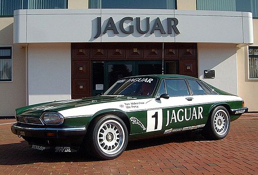 Illustrationsfoto: Jaguar Mena