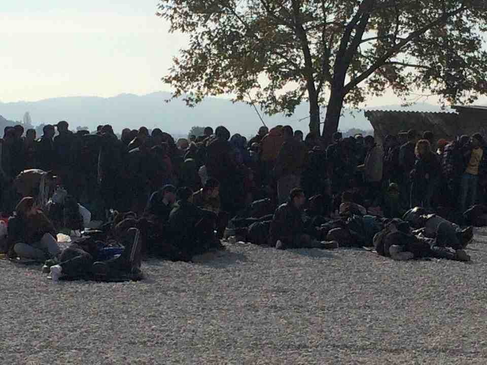 Den makedoneske grænse Foto: Help the refugees