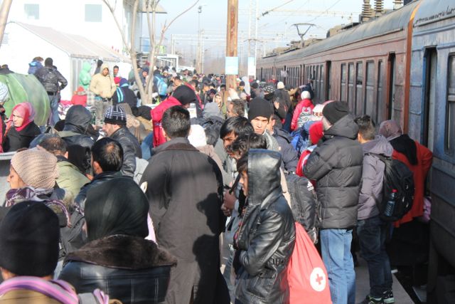 Et tog med flygtninge ankommer til den makedonsk-serbiske grænse i Tabanovce  Foto: Ota Tiefenböck