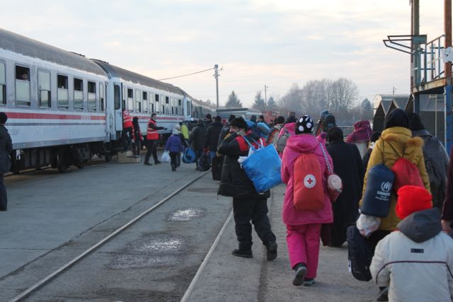 MIgranterne på vej til Dobova i Slovenien  Foto: Ota Tiefenböck