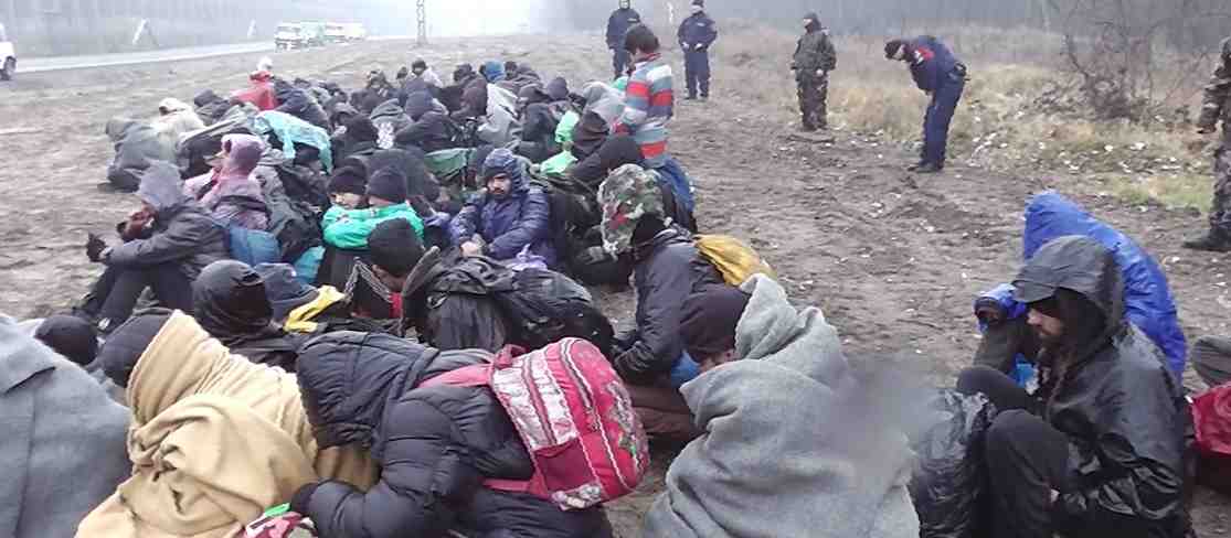 De anholdte illegale migranter Foto: Police.hu